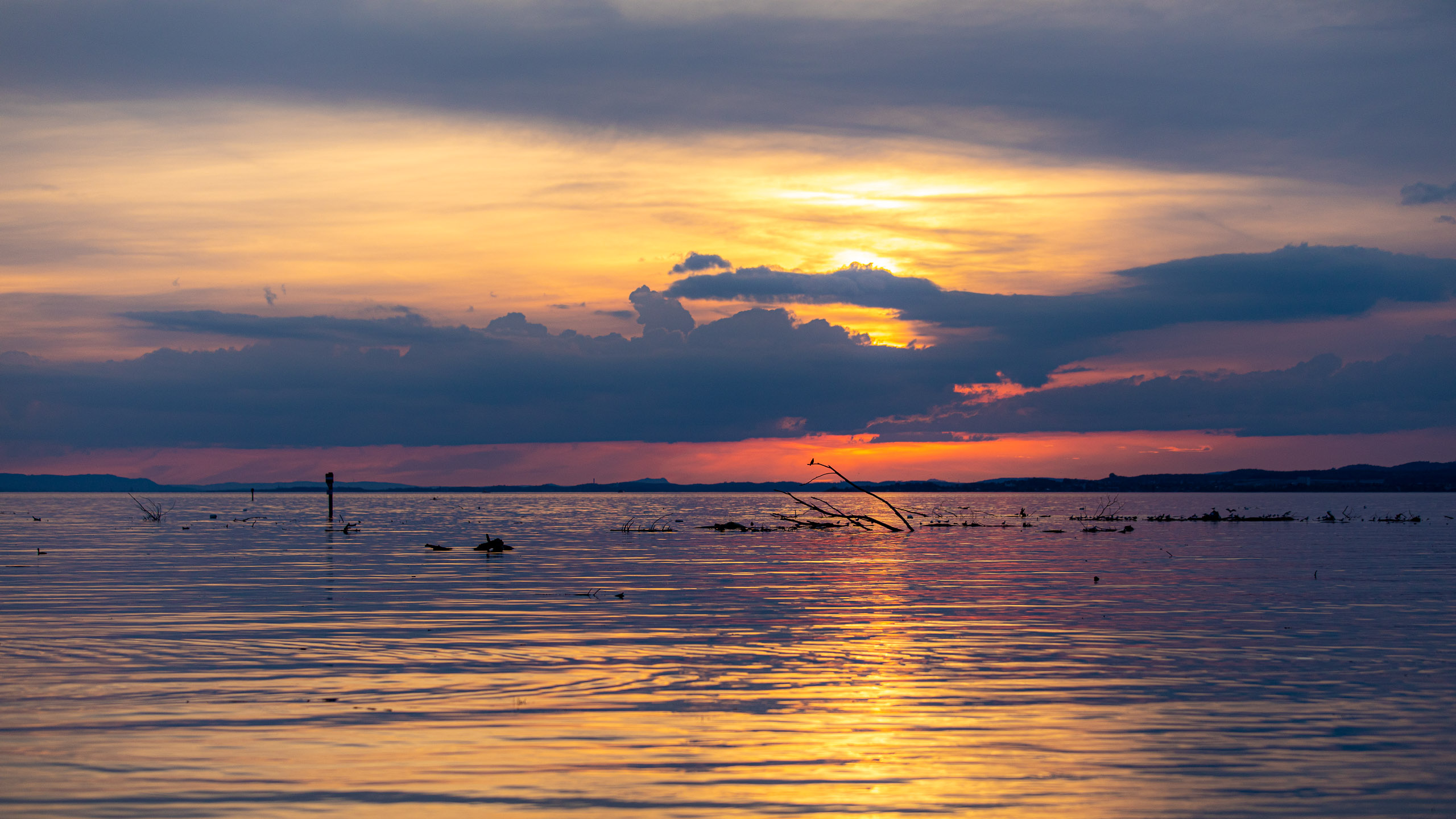 20230506202106 RD4 3925